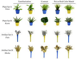Stimuli and novel names