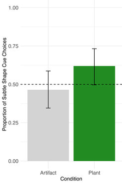 The proportion of 18-month-olds’ choices for the fine-grained feature match in the plant and artifact conditions