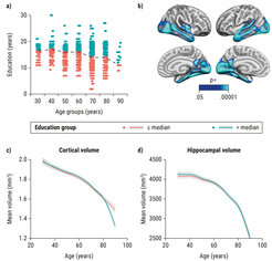 Educational attainment does not influence brain aging: Data from the Lifebrain Study