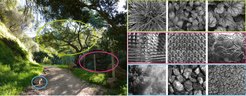 Examples of vegetation, artifacts, and non-living natural elements
