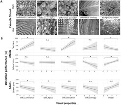 Visual properties and their effect on search performance