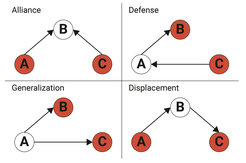 The four triadic interaction types