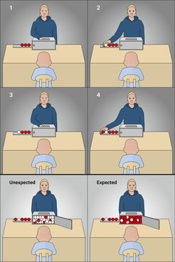 Illustration of an experimental paradigm