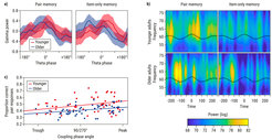 Aging-related decrements in precision of theta–gamma coupling as a candidate mechanism for adult age differences in associative memory