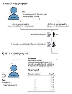 Overview of the experiment’s step wise procedure