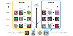 Visualization of the cultural space for a “simple” environment