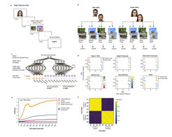 Representation learning of task states in a deep reinforcement learning model