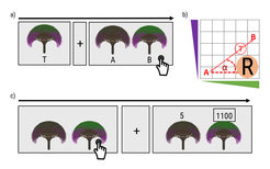 Task design