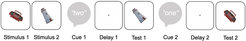Example paradigm for studying levels of abstraction in working memory.
