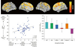 Multivariate model of longitudinal change–change associations between SDBOLD, cognition, and age