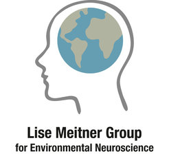 Logo of the Lise Meitner Group