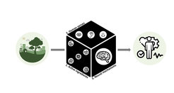 Illustration of the black box between the physical environment and mental health