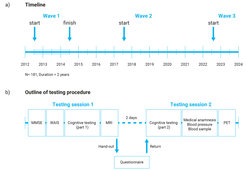 Timeline and testing procedure of the COBRA project