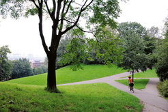Image of a park