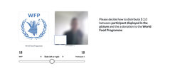Money Allocation Game with the potential recipient's photo blurred