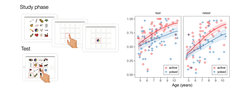 Experimental design (left) and results of Study 1 (right). From Ruggeri, Markant, Gureckis, Bretzke, and Xu (2019)